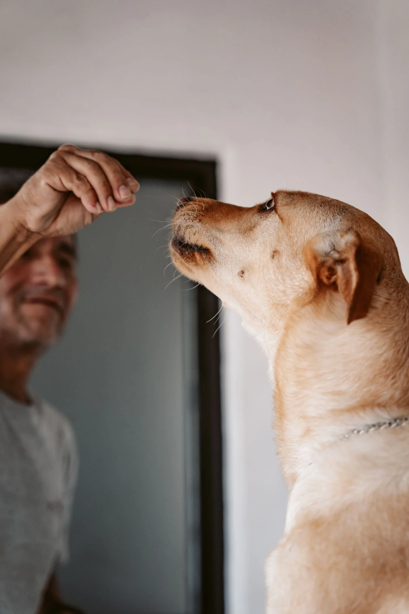 A man sharing a playful moment with his dog at home